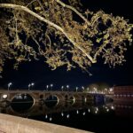 Emmanuelle Cureau Instagram – Bonjour Toulouse ✨
Les chocolatines, le couvent des jacobins, les bords de Garonne, chez Tonton … et la chaleur de votre accueil 😊 💕