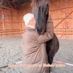 Emy LTR Instagram - Aujourd’hui j’ai rencontré @mathiouxisabelle et ses protégés 🩵. Une bulle bouleversante. J’ai découverte la médiation animale et quelle révélation. La connexion avec Panache a été immédiate. Il est venu à moi il m’a apporté calme et sérénité. Comme un besoin de faire une pause, de calme et de douceur. Merci Panache, Lemax, Monsieur Hugo, Isabelle et tous les autres je ne vous oublierai pas 🩵