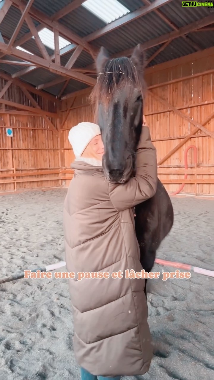 Emy LTR Instagram - Aujourd’hui j’ai rencontré @mathiouxisabelle et ses protégés 🩵. Une bulle bouleversante. J’ai découverte la médiation animale et quelle révélation. La connexion avec Panache a été immédiate. Il est venu à moi il m’a apporté calme et sérénité. Comme un besoin de faire une pause, de calme et de douceur. Merci Panache, Lemax, Monsieur Hugo, Isabelle et tous les autres je ne vous oublierai pas 🩵
