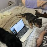 Emy LTR Instagram – Hello tout le monde ☀️
Je suis très émue de vous présenter Bonnie, ma nouvelle meilleure copine ❤️.
Bonnie est une American Bully de 5 mois, son ancien propriétaire souhaitait faire un élevage clandestin pour vendre des petits chiots. Elle faisait partie d’une portée qui ont tous été récupéré par l’association @unetruffeetuntoi.
Après avoir été dans une super famille d’accueil (coucou Elodie) Bonnie est enfin arrivée dans sa famille pour la vie, avec moi.
Merci et bravo à cette superbe association qui fait le bien et qui me permet aujourd’hui d’accueillir cette merveille. Je vous invite à aller vous abonner à leur compte et leur apporter du soutien❤️.
Bonnie est pleine d’amour, elle est rigolote et un peu gauche. Tout le monde tombe sous son charme et j’espère que vous aussi 🥰. Elle fait connaissance avec son environnement et est déjà un vrai pot de colle 🐶.
Je profite de ce post bonne nouvelle pour répondre à de nombreuses questions que j’évite depuis des semaines. Je n’aime pas trop m’étaler sur ce genre de sujet alors autant vous le dire ici pour ne pas en faire une affaire d’état. Nous avons décidé Odah et moi de séparer nos chemins amoureux. Il n’y aucun conflit, nous restons proches et concentrés sur le bien être de notre fils puisque c’est le plus important pour nous. Nous mettons tout en place pour que tout se déroule en douceur et nous vous remercions de respecter cette période. Odah est le père de mon fils et il sera toujours ma famille. 
Bisous de bébé, Marley, Gogo, Bonnie, Odah et moi ❤️