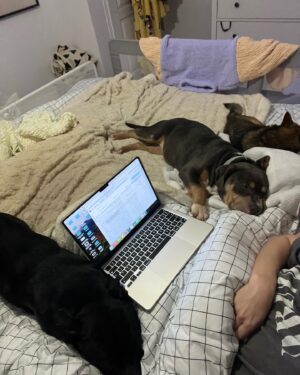 Emy LTR Instagram - Hello tout le monde ☀️
Je suis très émue de vous présenter Bonnie, ma nouvelle meilleure copine ❤️.
Bonnie est une American Bully de 5 mois, son ancien propriétaire souhaitait faire un élevage clandestin pour vendre des petits chiots. Elle faisait partie d’une portée qui ont tous été récupéré par l’association @unetruffeetuntoi.
Après avoir été dans une super famille d’accueil (coucou Elodie) Bonnie est enfin arrivée dans sa famille pour la vie, avec moi.
Merci et bravo à cette superbe association qui fait le bien et qui me permet aujourd’hui d’accueillir cette merveille. Je vous invite à aller vous abonner à leur compte et leur apporter du soutien❤️.
Bonnie est pleine d’amour, elle est rigolote et un peu gauche. Tout le monde tombe sous son charme et j’espère que vous aussi 🥰. Elle fait connaissance avec son environnement et est déjà un vrai pot de colle 🐶.
Je profite de ce post bonne nouvelle pour répondre à de nombreuses questions que j’évite depuis des semaines. Je n’aime pas trop m’étaler sur ce genre de sujet alors autant vous le dire ici pour ne pas en faire une affaire d’état. Nous avons décidé Odah et moi de séparer nos chemins amoureux. Il n’y aucun conflit, nous restons proches et concentrés sur le bien être de notre fils puisque c’est le plus important pour nous. Nous mettons tout en place pour que tout se déroule en douceur et nous vous remercions de respecter cette période. Odah est le père de mon fils et il sera toujours ma famille. 
Bisous de bébé, Marley, Gogo, Bonnie, Odah et moi ❤️