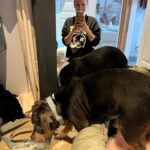Emy LTR Instagram – Hello tout le monde ☀️
Je suis très émue de vous présenter Bonnie, ma nouvelle meilleure copine ❤️.
Bonnie est une American Bully de 5 mois, son ancien propriétaire souhaitait faire un élevage clandestin pour vendre des petits chiots. Elle faisait partie d’une portée qui ont tous été récupéré par l’association @unetruffeetuntoi.
Après avoir été dans une super famille d’accueil (coucou Elodie) Bonnie est enfin arrivée dans sa famille pour la vie, avec moi.
Merci et bravo à cette superbe association qui fait le bien et qui me permet aujourd’hui d’accueillir cette merveille. Je vous invite à aller vous abonner à leur compte et leur apporter du soutien❤️.
Bonnie est pleine d’amour, elle est rigolote et un peu gauche. Tout le monde tombe sous son charme et j’espère que vous aussi 🥰. Elle fait connaissance avec son environnement et est déjà un vrai pot de colle 🐶.
Je profite de ce post bonne nouvelle pour répondre à de nombreuses questions que j’évite depuis des semaines. Je n’aime pas trop m’étaler sur ce genre de sujet alors autant vous le dire ici pour ne pas en faire une affaire d’état. Nous avons décidé Odah et moi de séparer nos chemins amoureux. Il n’y aucun conflit, nous restons proches et concentrés sur le bien être de notre fils puisque c’est le plus important pour nous. Nous mettons tout en place pour que tout se déroule en douceur et nous vous remercions de respecter cette période. Odah est le père de mon fils et il sera toujours ma famille. 
Bisous de bébé, Marley, Gogo, Bonnie, Odah et moi ❤️