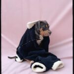 Emy LTR Instagram - Dogleesi Mother of dogs 🐾 👩🏻‍🦳 Qui veut des nouveaux produits du bonheur Kreapie?