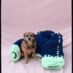 Emy LTR Instagram - Dogleesi Mother of dogs 🐾 👩🏻‍🦳 Qui veut des nouveaux produits du bonheur Kreapie?