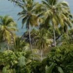 Enrique Arce Instagram – So why did I become an investor and ambassador of Samana group??
Because it’s the most beautiful place I have ever been in and fell in love immediately! 
I am one day closer to having my own place  in the paradisiac jungle of the Dominican Republc…
Why don’t you join me?

Thank you… 
@samanagroupdr
@marekchinedu
@yaritzareyes_r