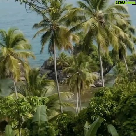 Enrique Arce Instagram - So why did I become an investor and ambassador of Samana group?? Because it's the most beautiful place I have ever been in and fell in love immediately! I am one day closer to having my own place in the paradisiac jungle of the Dominican Republc... Why don't you join me? Thank you... @samanagroupdr @marekchinedu @yaritzareyes_r