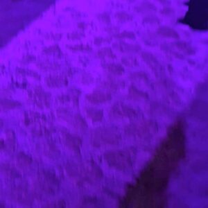 Enrique Arce Instagram - Fiesta de bienvenida de los @premios_platino xcaret2024
Otro día más en el paraíso de la Riviera Maya