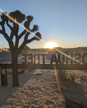 Enrique Arce Instagram - Joshua Tree, Mojave desert, California!!! que pasada de energía tiene el desierto!