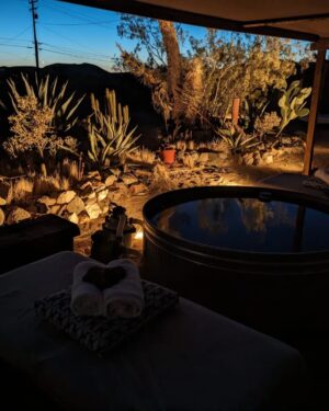 Enrique Arce Instagram - Joshua Tree, Mojave desert, California!!! que pasada de energía tiene el desierto!