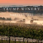 Eric Trump Instagram - The @trumpwinery team has been hard at work! Thanks to some very favorable weather, the team was able to harvest 565 tons! Our red grape varieties reached their full potential with a two-week rain free period in September, followed by a two-week stretch of sunny days and cool nights in October to ensure the remaining Cabernet Sauvignon were ripened to perfection! We have some incredible vintages coming your way!