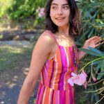 Erika Toa Russo Instagram - Miércoles curioso🌸 ¿Sabías que han sufrido infección vaginal por hongos al menos una vez en su vida? Mi mejor #ToaTip : saberlo tratar! Ahora @gynocanesten.ec con su óvulo de una sola aplicación es más fácil resolver la situación y es más cómodo gracias a su aplicador 😉 #HablemosSinTabú . . GYNOCANESTEN®️ OVULOS BLANDOS 500MG. Forma Farmacéutica: Óvulo. Reg. San No. 6077-MEE-0321. Posología: 1 aplicación de un óvulo al día. Precauciones y advertencias: Consulta a tu médico si eres menor de 16 o mayor de 65 años; si nunca has tenido relaciones sexuales; si eres diabética; en periodo de lactancia; si observas cualquier otra reacción adversa. Si los síntomas persisten, consulte a su médico. Contraindicaciones: Hipersensibilidad al clotrimazol o cualquiera de los excipientes. Contraindicado en el embarazo o cuando se supone su existencia. No usar en afecciones hepáticas y en asociaciones con Nelfinavir. CH-20230613-119 . . . #TOA #adv #girlbosses #girlpower #sororidad