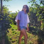 Erika Toa Russo Instagram - 🌈🍷🫒 ..tra vigne e sole! . Pic1 o pic2? Feliz domingo! Y una super semana nenxs🤟 . . . #TOA #winelover #Malvasia #vinolazio #sunday #domenica #domingo #relax #fall2024 #autumn #instapic #picotheday