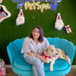 Erika Toa Russo Instagram - Sabemos lo importantes que son cada uno de nuestros peques 🐶🐯, por eso los cuidamos y consentimos siempre @erikatoarusso gracias por preferirnos ❤️❤️❤️