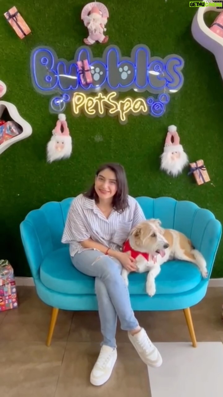 Erika Toa Russo Instagram - Sabemos lo importantes que son cada uno de nuestros peques 🐶🐯, por eso los cuidamos y consentimos siempre @erikatoarusso gracias por preferirnos ❤️❤️❤️