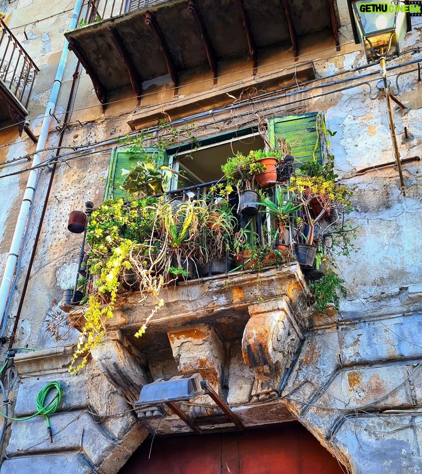 Erika Toa Russo Instagram - Some of Sicily🍋 Un poco de estos días turisteando en #familia 💙 Sol de primavera en pleno invierno, muchos limones e historia! . #Palermo #Cefalù #Monrreale . #Toa #photodump #touristlife #touristsoul #travel #toatravel #instapic