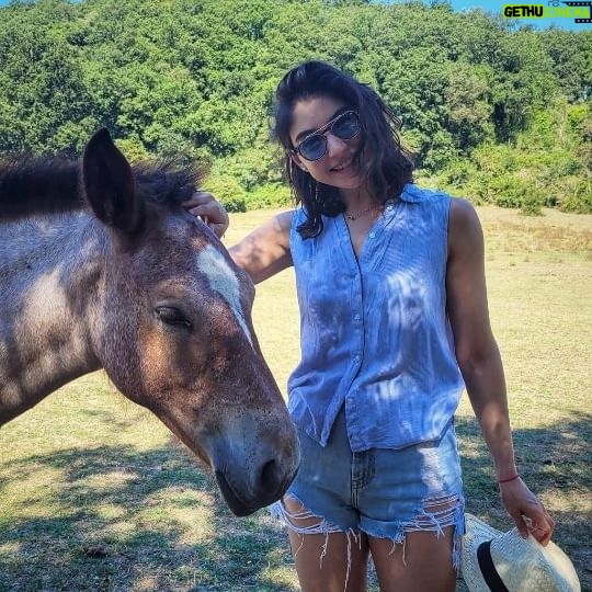 Erika Toa Russo Instagram - Ferragosto romano🌈🦄 . Recargando pilas con la naturaleza antes de que llegue septiembre💪 Descubrí esta reserva natural cerca de Roma, con caballos libres, cascadas y full viento (importante en este calor🤭) Y a tí, ¿a donde te gusta escapar apenas tienes un momento libre? . . . #TOA #lifestyle #travelvibes #animali #horses #caballo #travelvlog #minivlog #nature #ferragosto2023 #agoato #summer2023 #verano2023 #Roma #parcovejo .