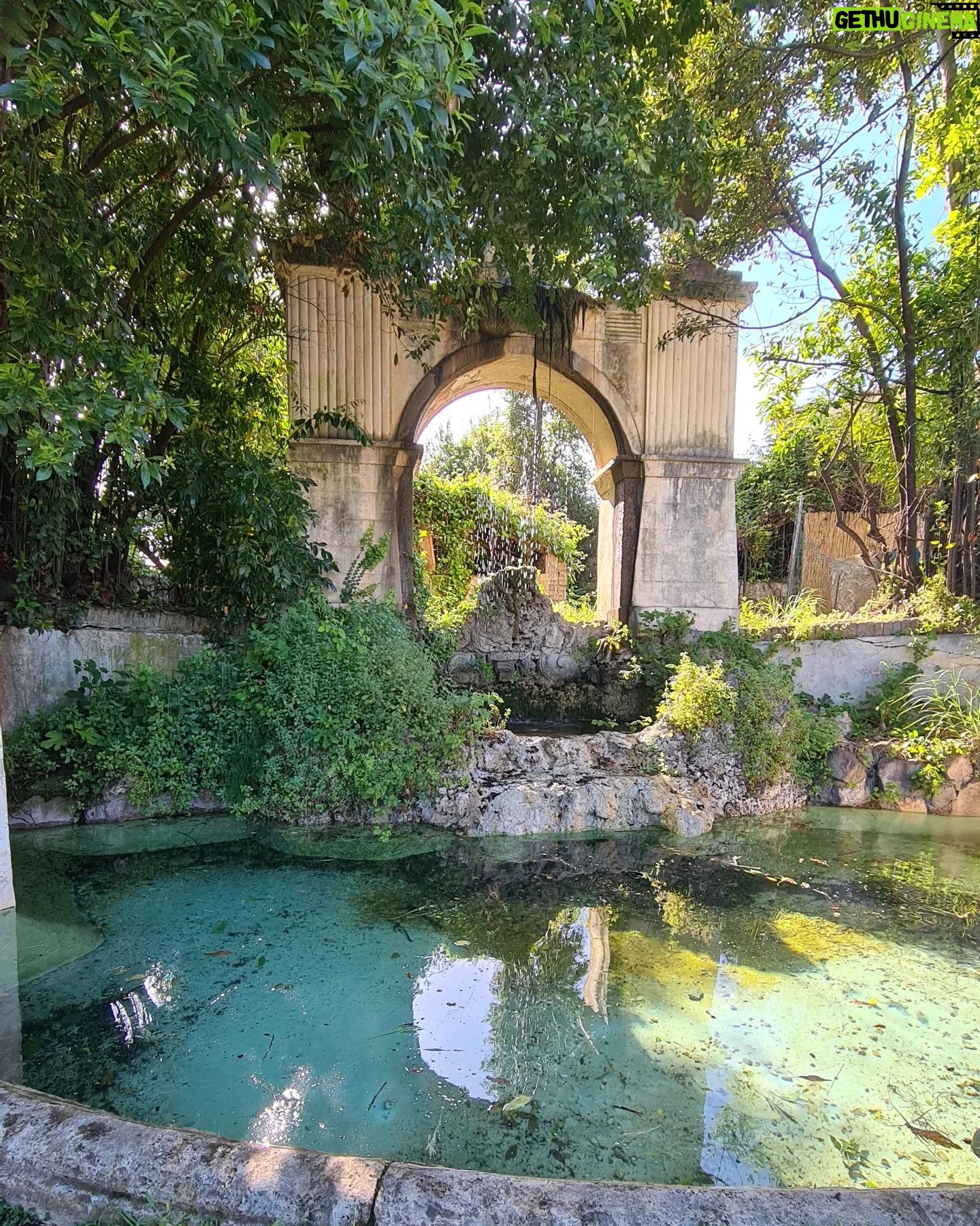 Erika Toa Russo Instagram - Finde romano🌈 al fìn un poco de sol! . A veces solo necesitas sentarte en medio de un parque, pegarte un buen aperitivo y chillear🤟 #ToaTripTip Casale dei Cedrati -Villa Pamphilj 😉 si addice x un aperitivino al sole in mezzo al verde