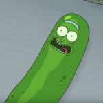 Erin Heatherton Instagram - Pickle Rick 🤷🏼‍♀️ @rickandmorty