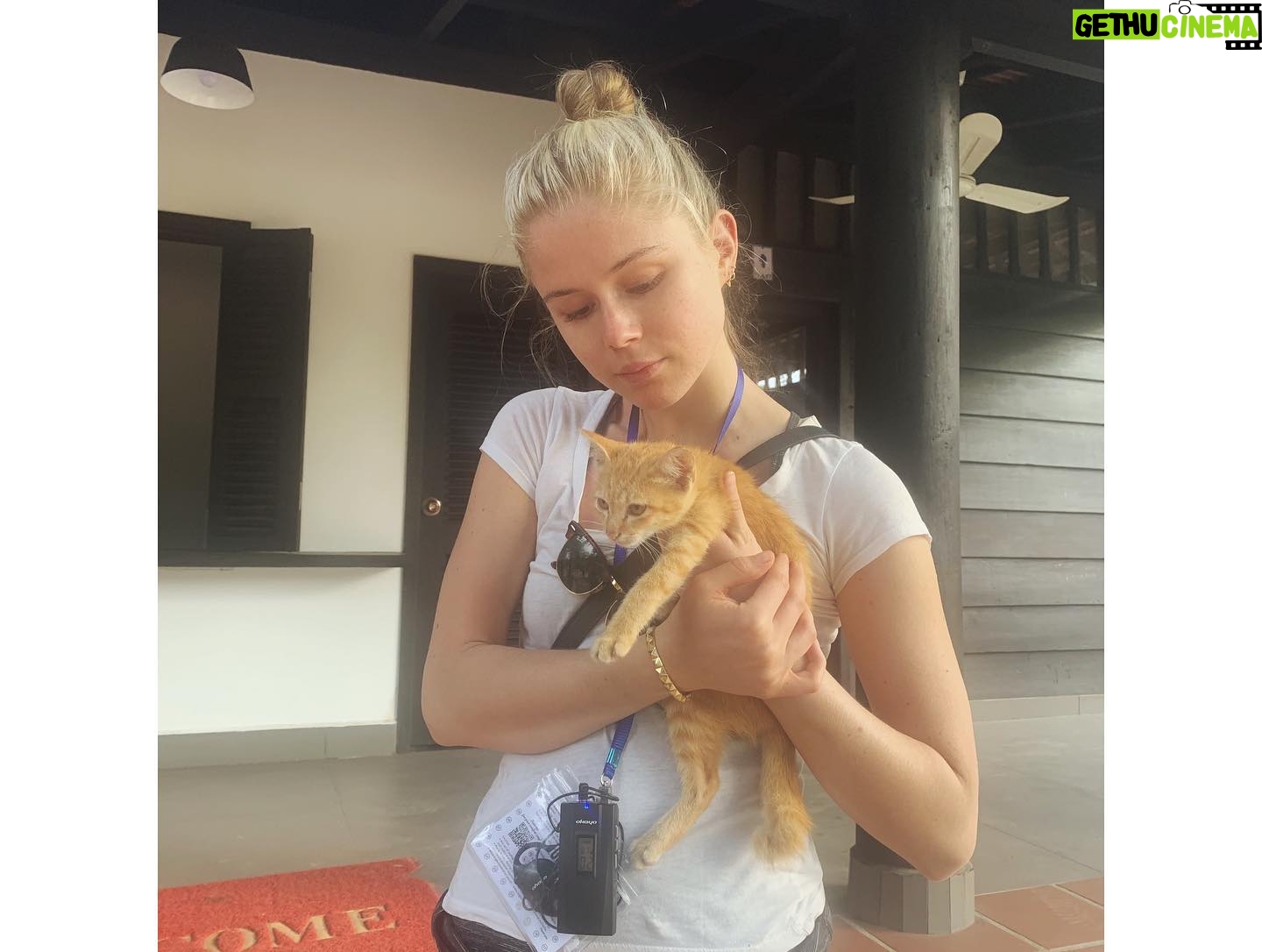 Erin Moriarty Instagram - Angkor Wat at sunrise ( my favorite new local friend).