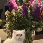 Erkan Petekkaya Instagram -
