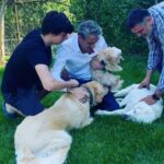 Erkan Petekkaya Instagram - Evimizin üç dostu .sevgiler selamlar 🐼🐶🐼🐻‍❄️