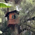Ester Expósito Instagram - verde que te quiero verde
