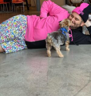 Ethan Klein Instagram - Frenemies merch live at 12:30 pst teddyfresh.com/frenemies