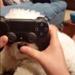 Ethan Klein Instagram - New ps4 controller overpowered