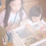 Eugene Instagram - 병아리 부화 2주만에 떠나보냈어요...그 사이 너무 커서 막 날아다니고 싶어하더라구요~! 넓은 곳에서 편하게 지낼수있게 가까운 농장에 보냈습니다~ 깔끔하게 운영되는 동식물 체험농장이라 종종 만나러 갈 수도 있고~ 좋네요😊 홍이야~희양아~이랑아~슈붕아~~~잘 지내!