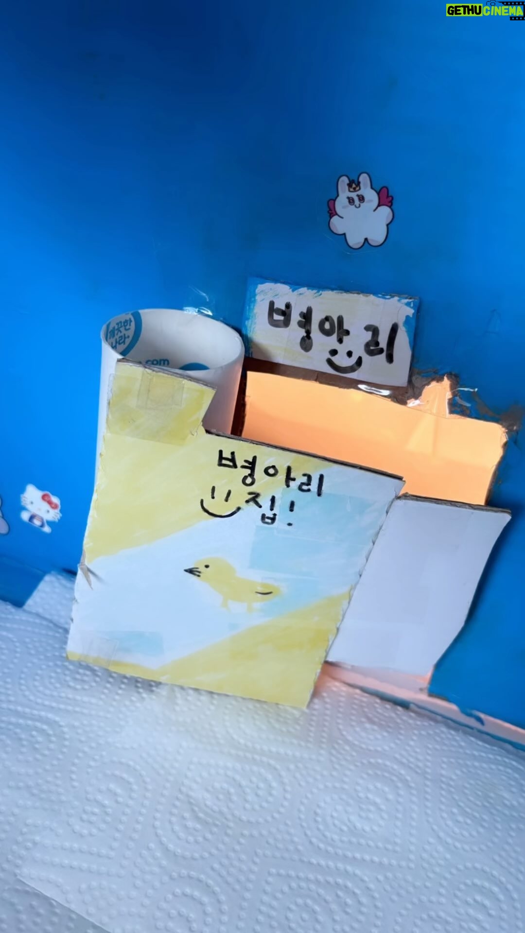 Eugene Instagram - 병아리 부화해보기로 한 후 로희가 만든 병아리 집~! 생각보다 튼튼하게 너무 잘 만들었다~! 와우~~!!! 문도 열었다 닫았다 할 수있고~! 굿~~~~!!! 병아리들도 맘에 꼭 들거야 로희야~!😘