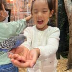 Eugene Instagram – 동물좋아하는아이 곤충도…파충류도…그냥 다 
귀엽대요…😅😆😖😱🤣 
My little girl loves animals… even insects…and reptiles…she says they are all so cute…!!!
