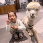 Eugene Instagram – 동물좋아하는아이 곤충도…파충류도…그냥 다 
귀엽대요…😅😆😖😱🤣 
My little girl loves animals… even insects…and reptiles…she says they are all so cute…!!!