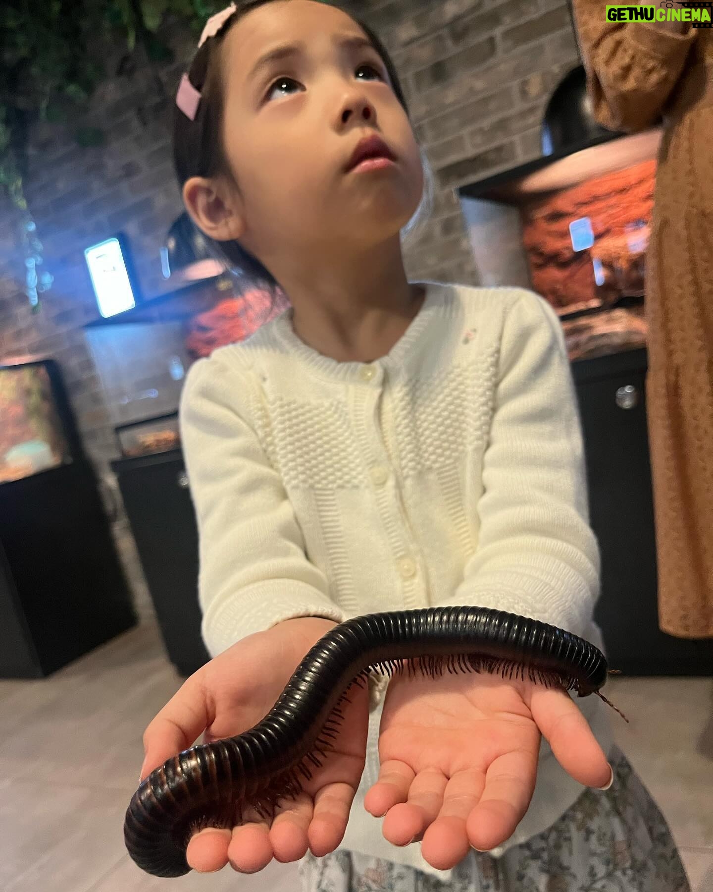 Eugene Instagram - 동물좋아하는아이 곤충도...파충류도...그냥 다 귀엽대요...😅😆😖😱🤣 My little girl loves animals… even insects…and reptiles…she says they are all so cute…!!!