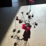 Eugenia Kuzmina Instagram – #wildflowersuk ๐ธ๐ฆin love with @heckfield_place โฆ canโt be late for @royalacademyofdramaticart ๐ thank you to hotel for getting there on time ๐ธ miss my kids ๐