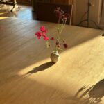Eugenia Kuzmina Instagram – #wildflowersuk ๐ธ๐ฆin love with @heckfield_place โฆ canโt be late for @royalacademyofdramaticart ๐ thank you to hotel for getting there on time ๐ธ miss my kids ๐