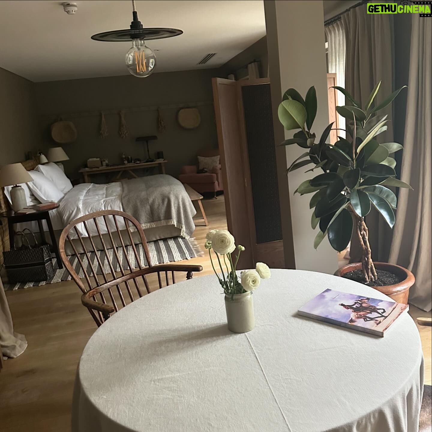 Eugenia Kuzmina Instagram - Flowers and spirit grow in the most unusual places π#writing π¦πΏ thank you @heckfield_place for the stay during filming an appearance scene @davidayermovies and connecting with the nature #natureisnurture β¦.ππ