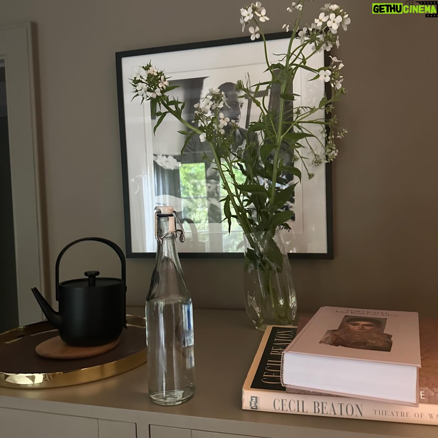 Eugenia Kuzmina Instagram - Flowers and spirit grow in the most unusual places π#writing π¦πΏ thank you @heckfield_place for the stay during filming an appearance scene @davidayermovies and connecting with the nature #natureisnurture β¦.ππ