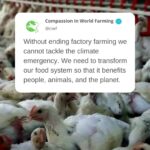 Eva Green Instagram – From animal cruelty to human hunger. From the climate crisis to pollution and wildlife extinctions. Take a closer look at almost any global challenge, and you’ll find food at its core.

To create a better world for animals, people, and our planet we need it to be the #EndOfTheLine for Factory Farming. Sign the petition! Visit www.end.it or click on the link in our bio.