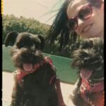 Eva Green Instagram - When dogs have the same energy as their owners… Happy Sunday with Mister Winston and Nora 💖 Repost from @mignonettetakespictures AI generated by @petermartin