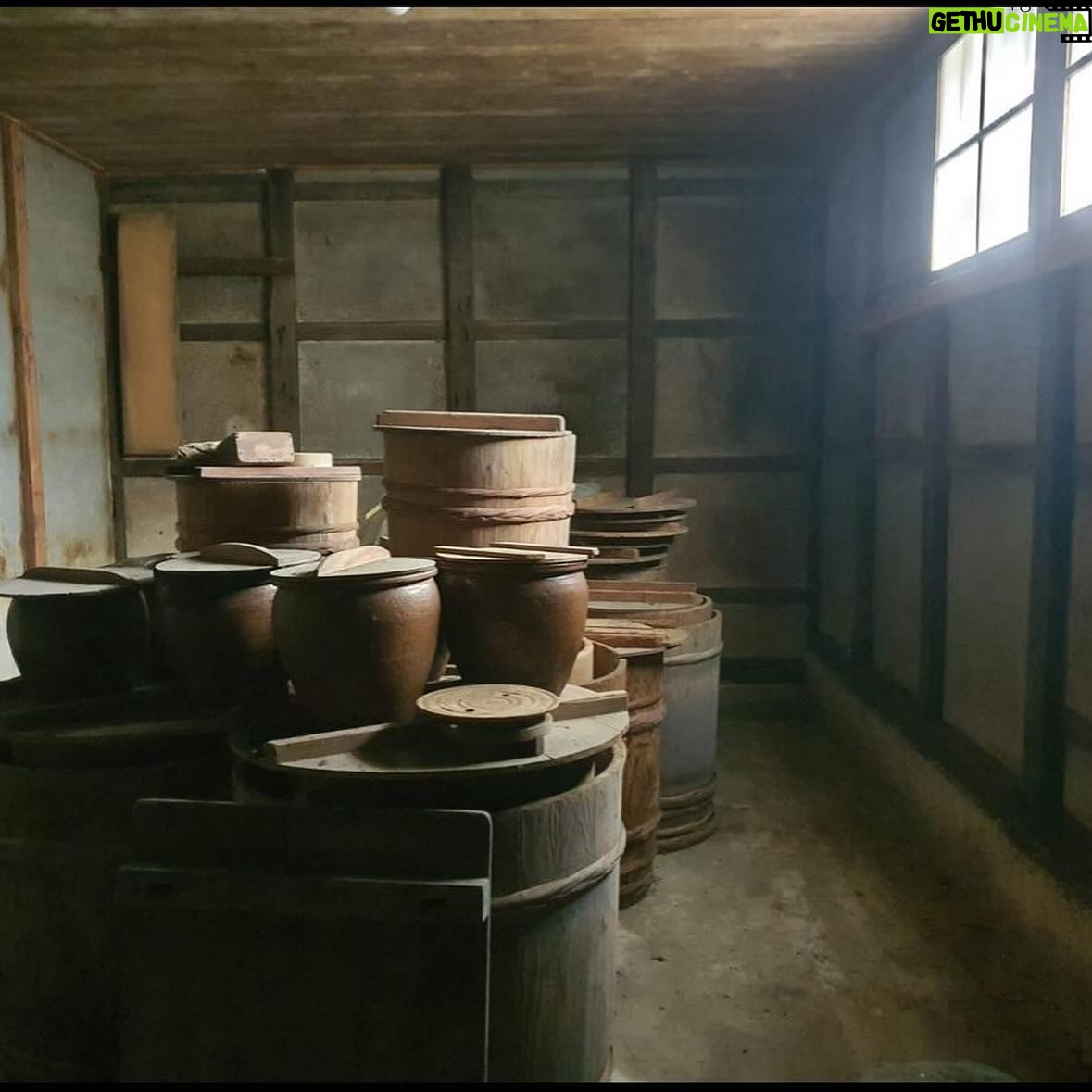 Eva Green Instagram - On my way home to Europe after the most amazing visit to wonderful, wonderful Japan♥️🇯🇵🤍. So many great experiences, including discovering Kyoto’s treasures and visiting various sake breweries . My passion for sake and thirst for knowledge about its secrets keep on rewarding me with so many rich discoveries . I met extraordinary people working to preserve ancient traditions of sake brewing , whilst also expanding their skills for the modern world in a way which is sensitive, sustainable , and organic. Visiting sake breweries gave me an opportunity to discover less touristic parts of rural Japan , so beautiful, welcoming and delicate. My sincere gratitude goes to the @osake.fr team for continuing sharing their immense knowledge and enabling the best possible introductions to hugely talented sake brewers . I am also wholeheartedly thanking the teams at the breweries @umetsu_sake , @hanagaki_official_1, @chikusen.kuramoto and @tsukinokatsura_sake for their warm welcome and guidance. I am looking forward to continuing my apprenticeship and learning from you! Thank you also to @aman which was a perfect base for my stay in Kyoto: the beauty of the architecture and park of @aman_kyoto is matched only by the attention of its kind and wonderful team. I hope to return very soon 🙏🏼