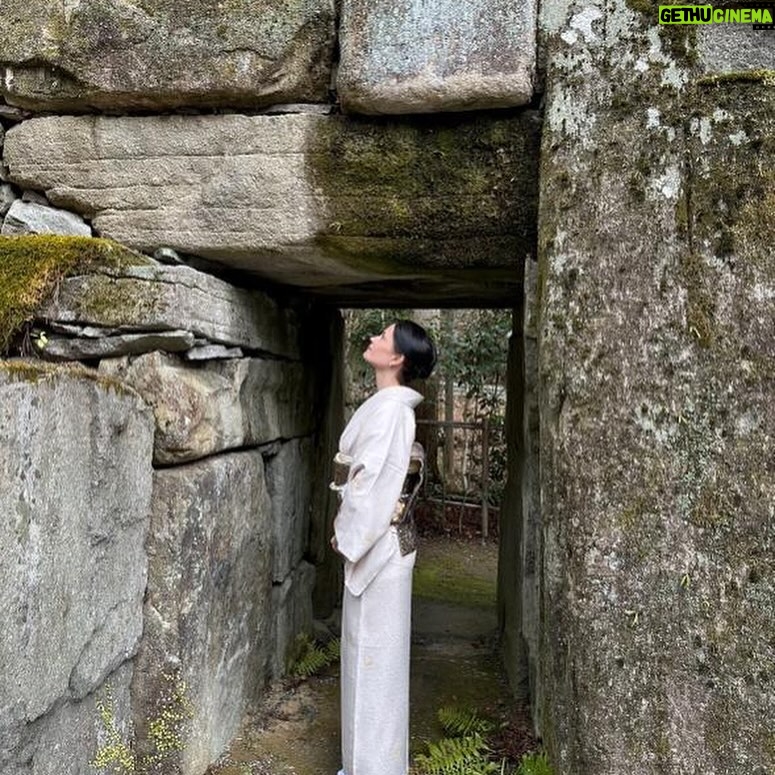 Eva Green Instagram - On my way home to Europe after the most amazing visit to wonderful, wonderful Japan♥️🇯🇵🤍. So many great experiences, including discovering Kyoto’s treasures and visiting various sake breweries . My passion for sake and thirst for knowledge about its secrets keep on rewarding me with so many rich discoveries . I met extraordinary people working to preserve ancient traditions of sake brewing , whilst also expanding their skills for the modern world in a way which is sensitive, sustainable , and organic. Visiting sake breweries gave me an opportunity to discover less touristic parts of rural Japan , so beautiful, welcoming and delicate. My sincere gratitude goes to the @osake.fr team for continuing sharing their immense knowledge and enabling the best possible introductions to hugely talented sake brewers . I am also wholeheartedly thanking the teams at the breweries @umetsu_sake , @hanagaki_official_1, @chikusen.kuramoto and @tsukinokatsura_sake for their warm welcome and guidance. I am looking forward to continuing my apprenticeship and learning from you! Thank you also to @aman which was a perfect base for my stay in Kyoto: the beauty of the architecture and park of @aman_kyoto is matched only by the attention of its kind and wonderful team. I hope to return very soon 🙏🏼