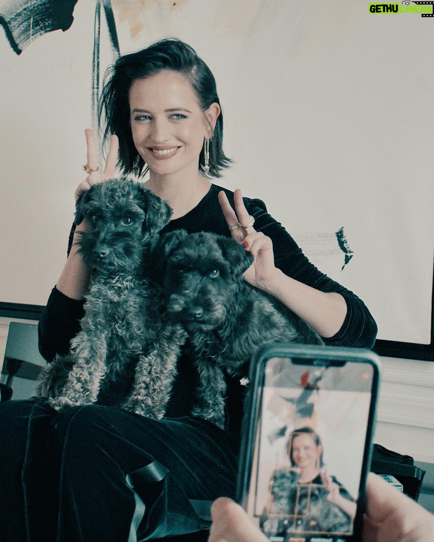 Eva Green - 113.9K Likes - D'autres photos... Merci à tous ceux qui ont vécu ces moments avec nous. Il n'y a pas plus bel écrin pour découvrir #LesTroisMousquetairesLesFilms @lestroismousquetaireslesfilms qu'une salle de cinéma. Allez-y dès le 5 avril.