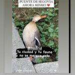 Eva Isanta Instagram - Actos y consecuencias. Este no parece ser el camino. Quizá sea un buen momento para reflexionar. La vida siempre por delante. #mascleta #madrid