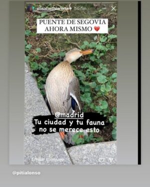 Eva Isanta Instagram - Actos y consecuencias.
Este no parece ser el camino.
Quizá sea un buen momento para reflexionar.
La vida siempre por delante.
#mascleta #madrid