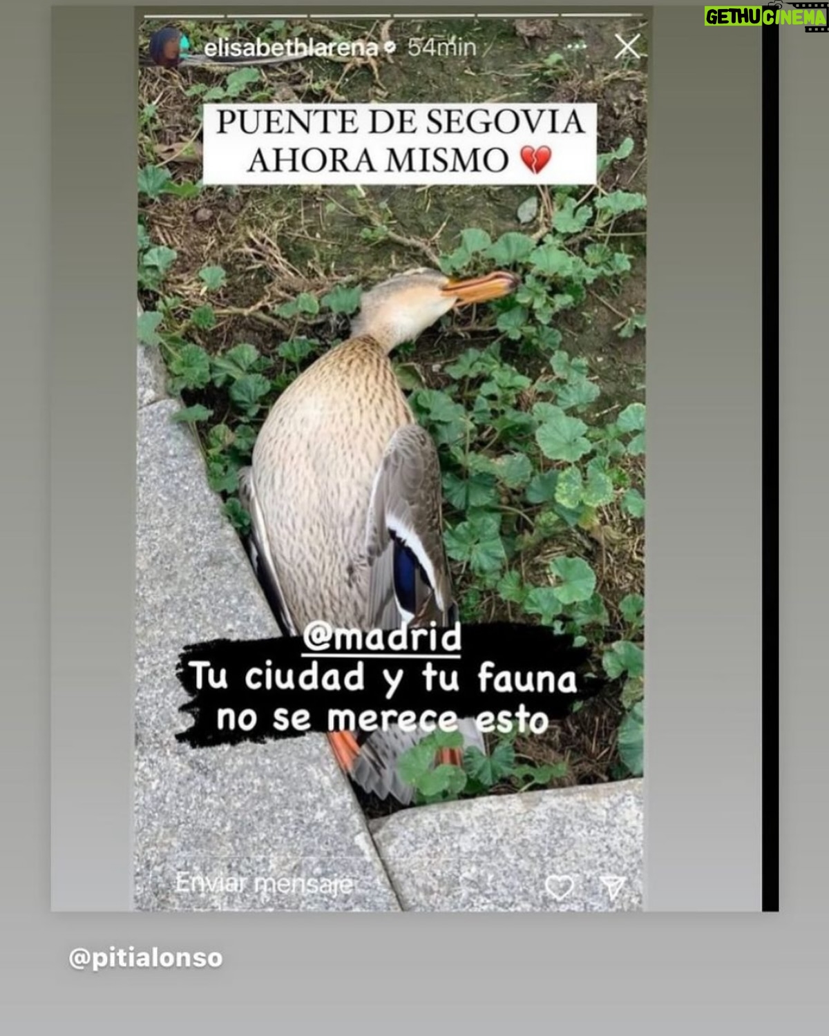 Eva Isanta - 7.4K Likes - Actos y consecuencias.
Este no parece ser el camino.
Quizá sea un buen momento para reflexionar.
La vida siempre por delante.
#mascleta #madrid