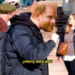 Eva Soriano Instagram – The last reportaje de Londres with the things que nos quedaban en el cajón ♻️
**********
#cuerposespeciales @evasoriano_ for the Pulitzer
#katemiddleton #principeharry #londres