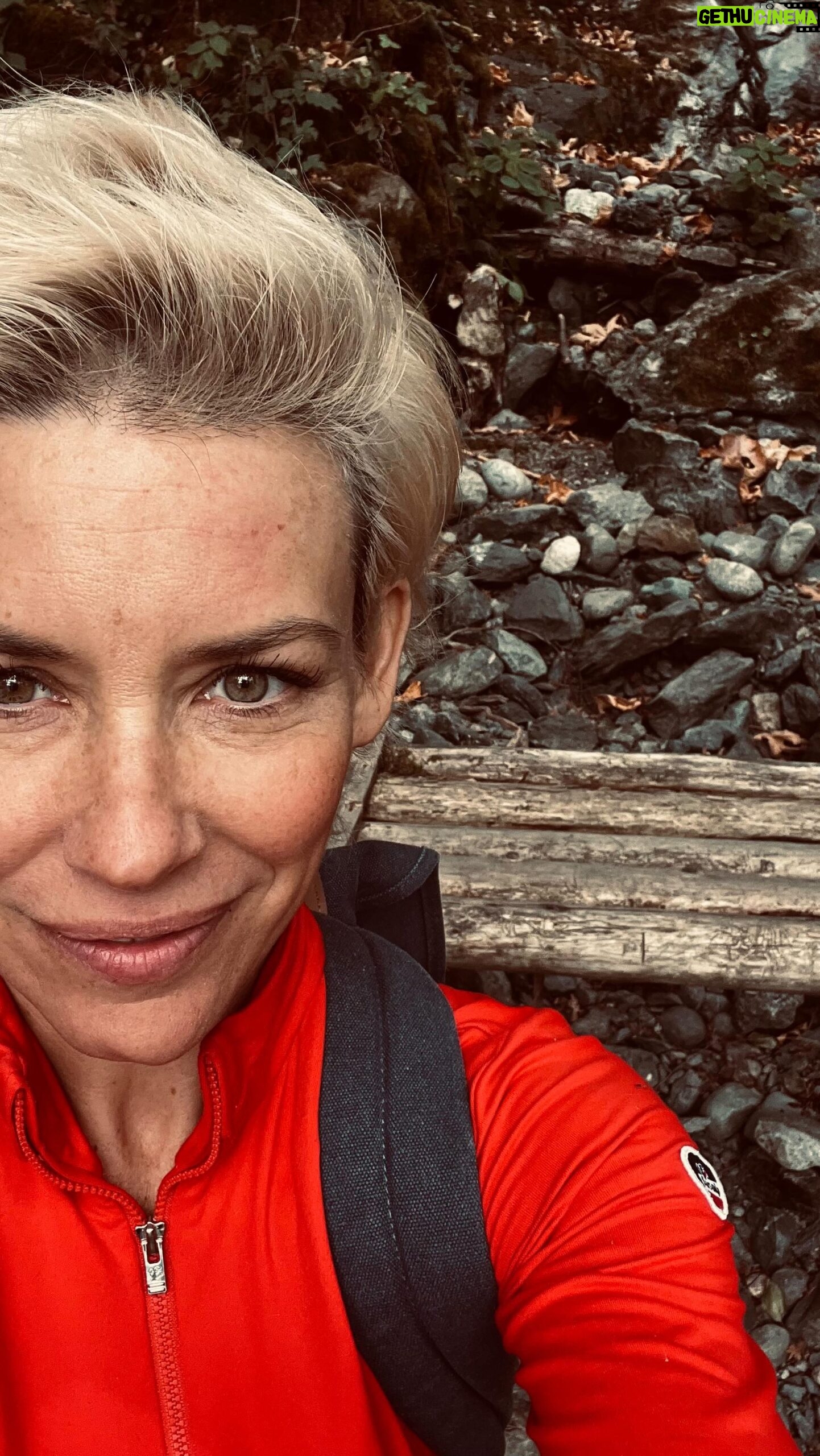 Evangeline Lilly Instagram - #meanderingthoughts #trailwalk #forest