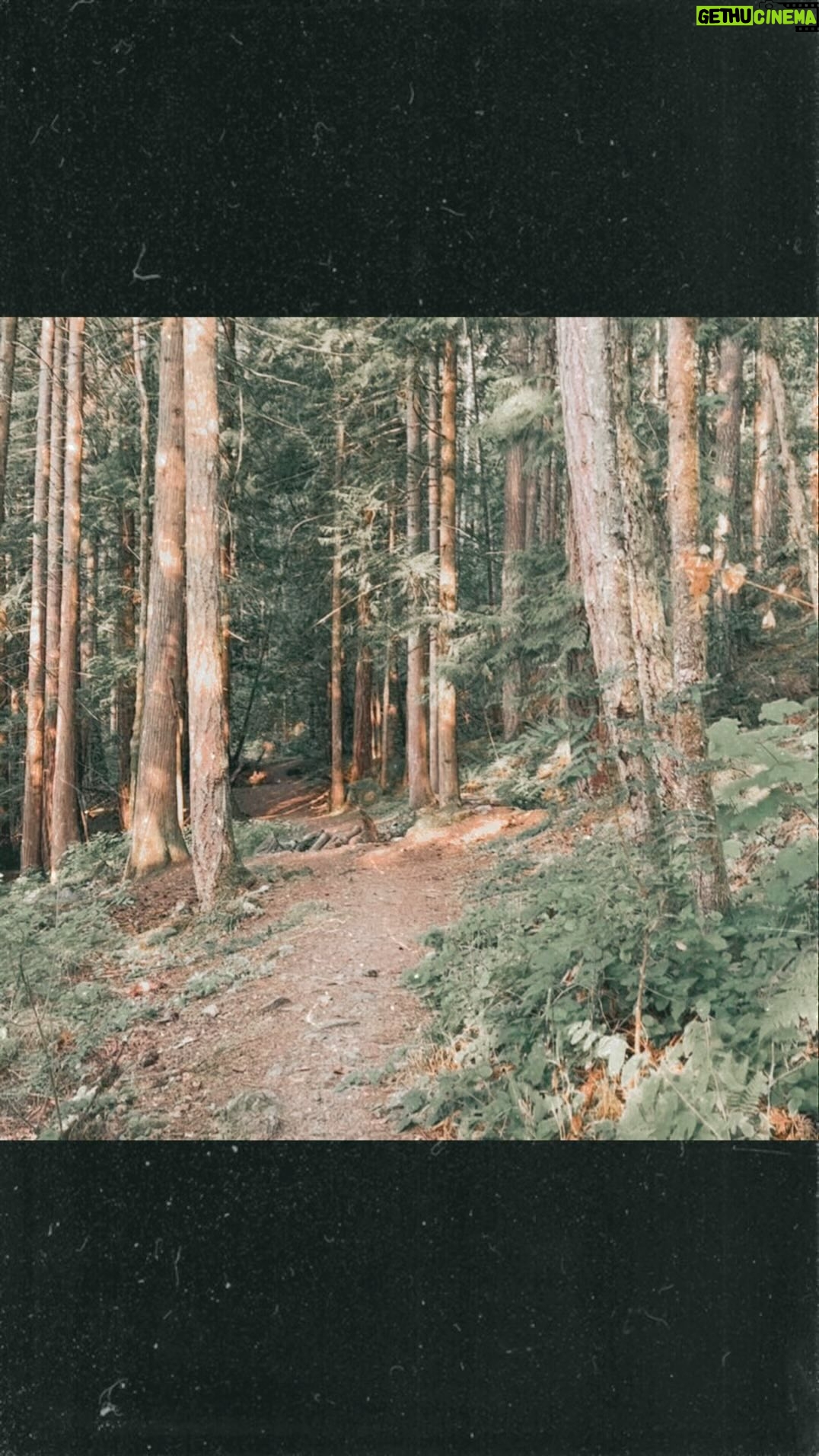 Evangeline Lilly Instagram - "In the wilderness, I sense the wholeness hidden “in all things.” It is in the taste of wild berries, the scent of sunbaked pine, the sight of the Northern Lights, the sound of water lapping the shore, signs of a bedrock integrity that is eternal and beyond all doubt. And when I return to a human world that is transient and riddled with disbelief, I have new eyes for the wholeness hidden in me and my kind and a new heart for loving even our imperfections." - #ParkerPalmer #nature #wilderness #wholeness ✨