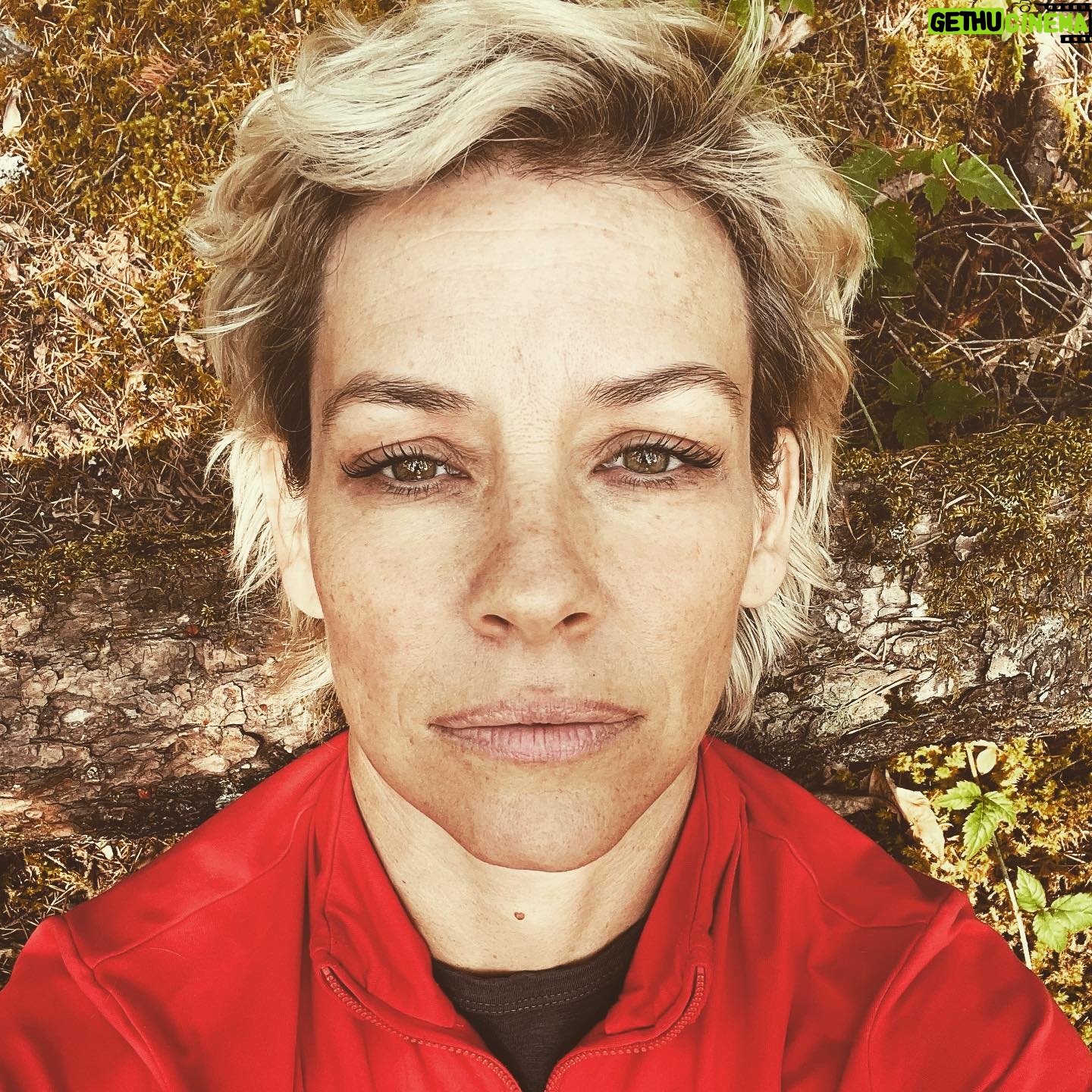 Evangeline Lilly - 40.6K Likes - Pride does not always look like arrogance. Sometimes it looks like stumbling around like a fool in front of a crowd of people because you can't stop thinking about yourself - about how you are looking, behaving, sounding, coming across - when all eyes are on you. So you don't act "normal", you can't relax. Sometimes pride looks like being half of yourself because you are afraid of what other people would think of the other half. Too proud to take the risk, even if the other half is the best part. Sometimes pride looks like hiding your blemishes so that people will think you're more perfect than you are. It can look like self-consciousness "humility". But true humility is not conscious of itself at all. Bishop Robert Barron once described humility as a dog racing around the beach after her owner's stick. Totally absorbed in its own joy and too lost in the moment to be aware of itself at all. 💫
#humility #pride #selfconsciousness #bishoprobertbarron