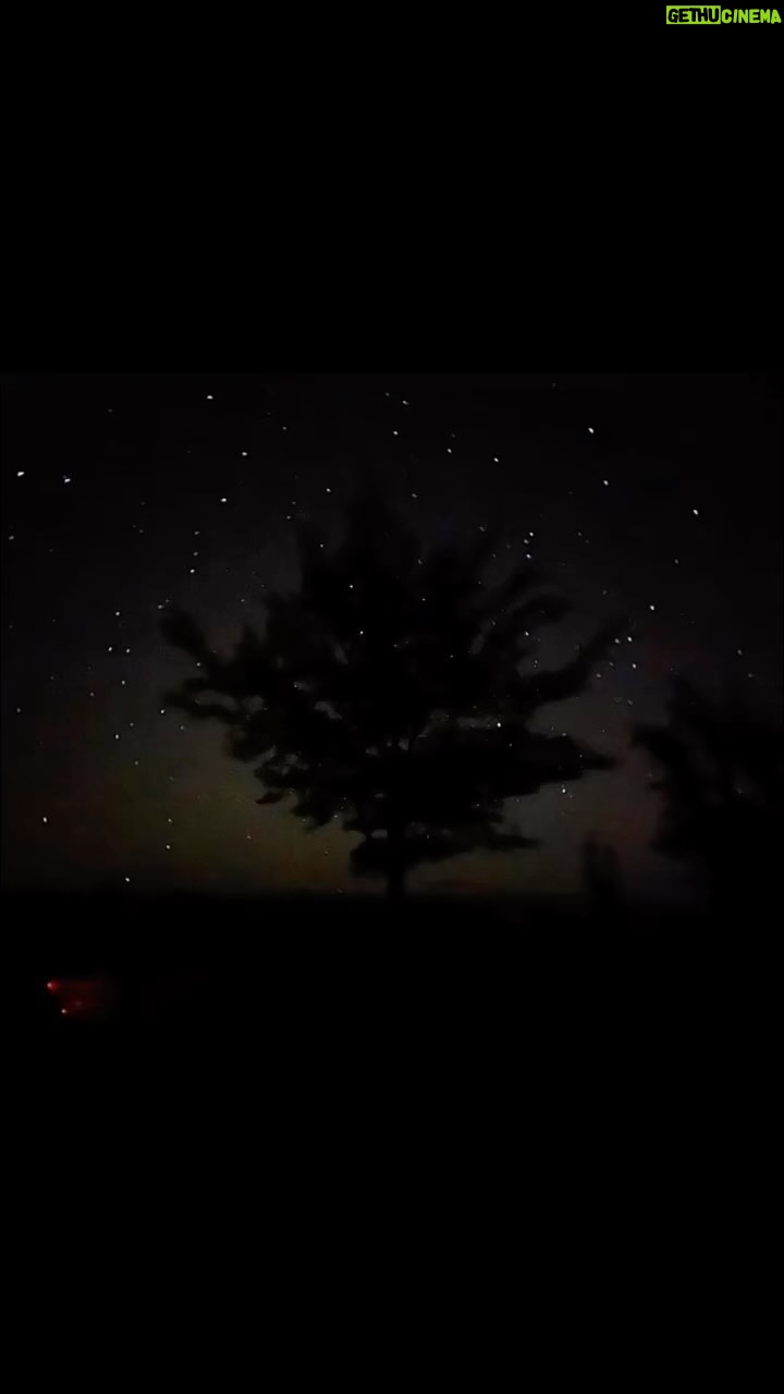 Evangeline Lilly Instagram - My night last night. ✨ 1. Starry tree 2. Stars on a tidal pool 3. Knees in the fire Laying out under the stars for hours on end, doing nothing but tending a fire, slipping in and out of cuddling, and eating, and talking, and dozing... Right before we left, I took these photos to remember the night. #perfectnight #perfectdate #stars #nature #beach #campfire #silence #stillness #peace #starrynight